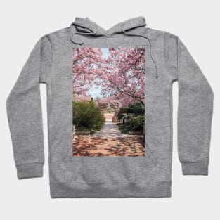 Cherry Blossom 2 Hoodie